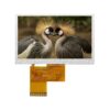 4.3 inch TFT LCD Display 480x272 with Capacitive Touch Screen, RGB Interface front