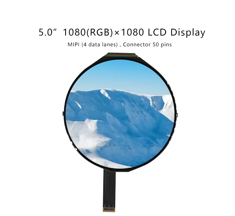 5 Inch Round LCD Display details